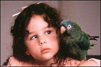 paulie with marie - this is paulie and marie from the movie paulie