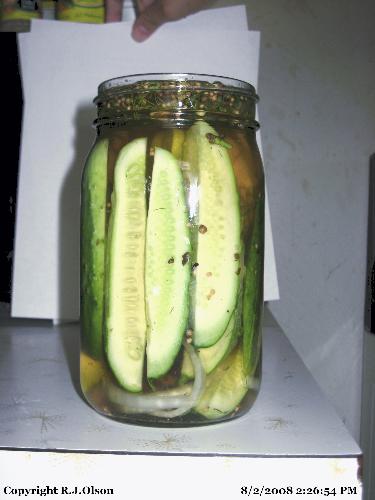 Homemade - Freshly homemade pickles from cukes in my Minnesota garden recently.