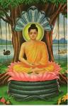 Buddha - Buddha sitting under the tree of enlightenment
