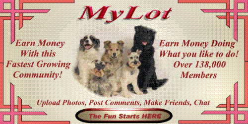 My MyLot splash page - pic of my MyLot splash page