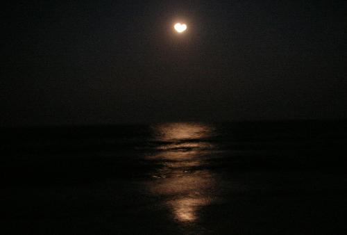 Lovers Moon - This is a picture I took of the moon over the beach one night while with my Fiance. Lovers Moon - This is a picture I took of the moon over the beach one night while with my Fiance.