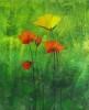 flower  - life is like flower,we need to take care!