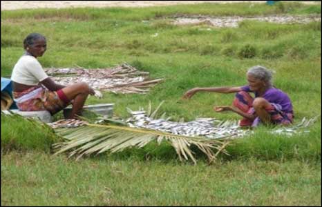Indiscriminate Fishing - Depletion of fish stocks Indiscriminate Fishing - Depletion of fish stocks