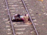 well in the tracks! - these guys are drawing water from an underground source. from between the railway tracks!