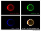 earth - Earth's gamma-ray glow
