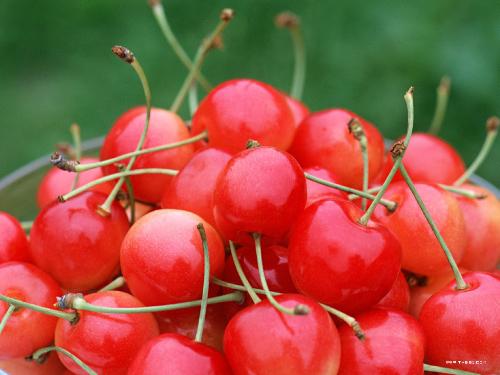 sweet cherry - The sweet cherries is delicious!