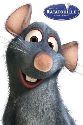 ratatouille - Ratatouille - Animated Movie