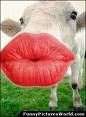 parenting - kiss you my dear