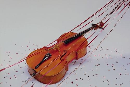 violin - beautiful picture of viiolin