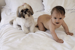 pets - So lovely they are!