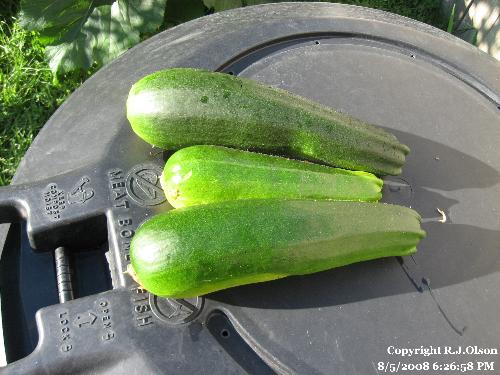 Future Bread? - Will be making zuchinni bread soon