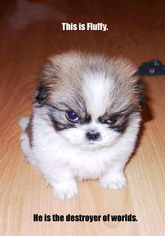 fwuffy destroyer of the worlds - this reminds me of pinky and the brain for some reason, lol