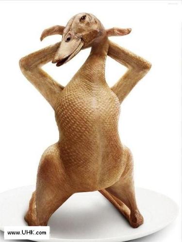 naked animal - roast duck
