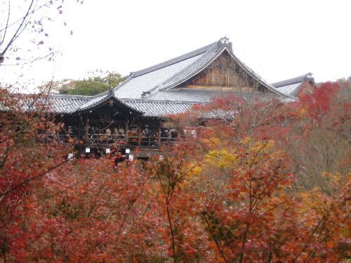 Tofukuji in kyoto - Tofukuji in Kyoto .