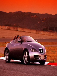 car - do you like it