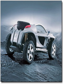 car - do you like it