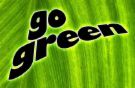 go green - A go green picture