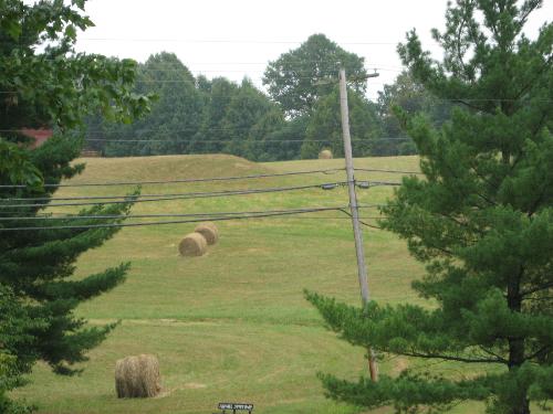 Hay Field in West Virginia - Hay Field in West Virginia. Hay is much easier to cut now that it was in days gone by.