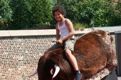 Syl - Syl riding the bull last year on a bbq