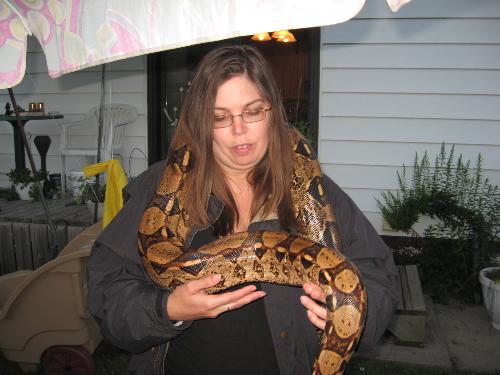 wearing a snake - My parents' friends own a constrictor. She is very beautiful and gentle. Still I treat her with respect so that she never feels the need to squeeze or nip
