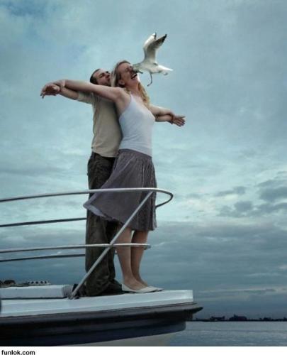Arghgh!! - whats wrong with these birds...??