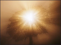 bright light - beautiful