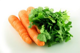 carrots - do you like carrots?