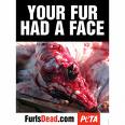 http://www.furisdead.com/photos-fur.asp - photo of a peta poster of a skinned dog sitting in its own blood