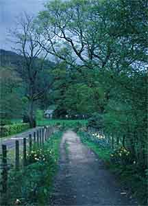 Prayer - Picture of a road