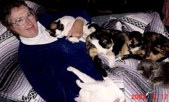wife&cats - wife and our cats