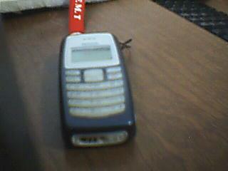 The 2110 - The 2110 is a very old model of a cell phone but is still very useful and is very user friendly. It is also less prone to cell phone theft as it's cheap. It does not breakdown so easily. The parts are the bare essentials but they are sturdy.