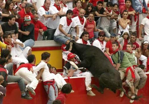 bull on people!! - i think he's crazy...he's playing upon people!!