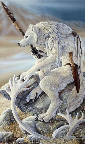 white wolf - cool pic of a white wolf