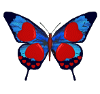 cute butterfly - this butterfly is flying beautifully!
