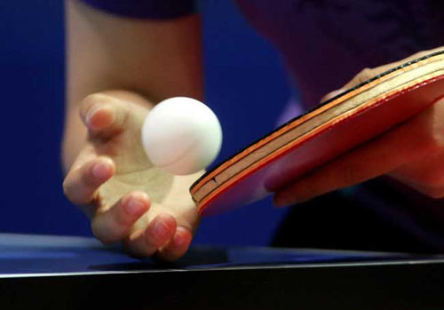 table tennis - profesional paddle