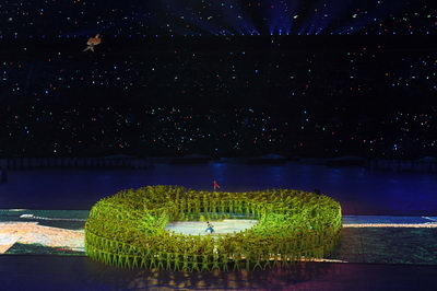 olympic - man-made green bird nest.  marvelous and wonderful.