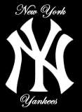 new yankees - i saw this i like it