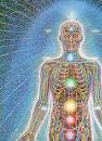 do you believe in psychic energy - Picture of a human with all its circulatory features and chakras going down the center of the body starting from 'third eye' between the eyes in middle of forehead