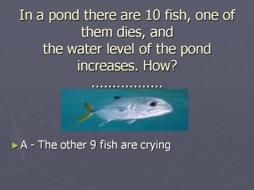 read what is this saying  - read what is this saying to you