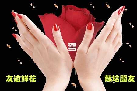 two hands - there are two hands in the picture.in the hand is flower,that means send the flower to your friend.the flower represent the friendship.so send the friendship with you friend.you see the hands are beautiful.and the image beautiful too.