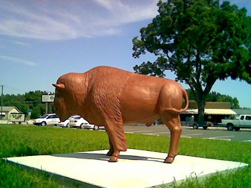 Statue of a buffalo - This is another statue that my city has in the city. The statues are part of what makes my city so special. I have not seen another city like it.