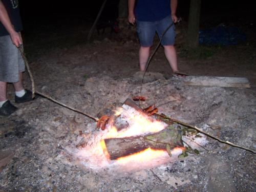 Cooking on the fire - These sticks weren't the greatest, but it got the job done!