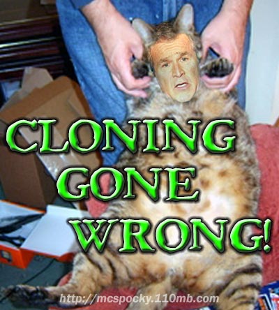 Cloning Gone Wrong - A fat cat with George W. Bush's face.
