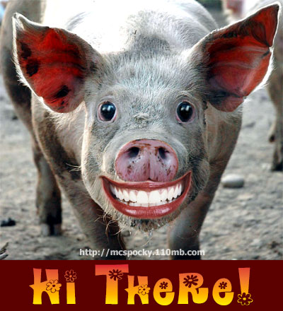 Smiling Pig - Pig with big human smile & lipstick.
