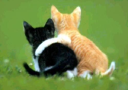 friends - Friends series defined how the new age friendship was going to be… a bible for friendship.