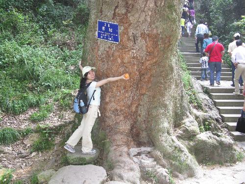 travelling - in the picture I was in wuyi zhejiang China ,the bome of hot spring .