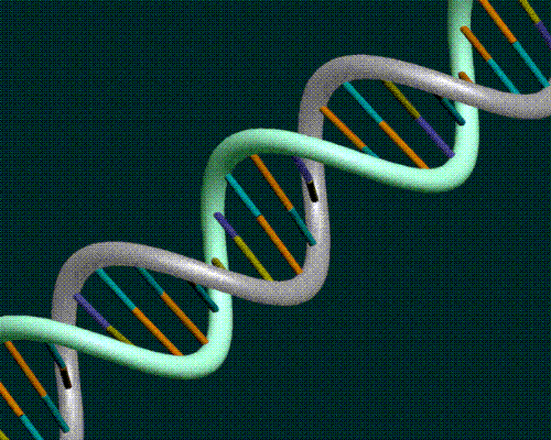 Genes - Can you blame your genes for everything? Genes - Can you blame your genes for everything?