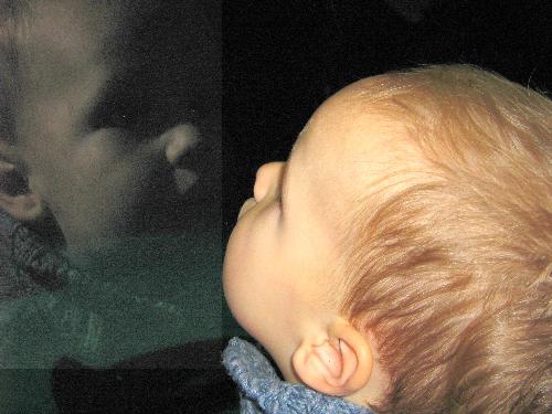 Xandr - Most beautiful photo ever taken (my son)