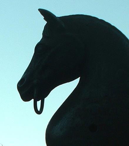 Hitching Post - The hitching post