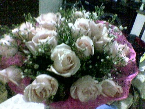 Flowers - Flowers are means of expressing one's self. What flowers do you use to express yourself? Rose? Dahlia?